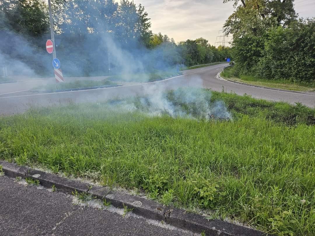 Einsatzfoto Flächenbrand klein